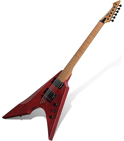 Amazon.com: Dean Guitars 6 String ZX Floyd Electric Guitar, Black
